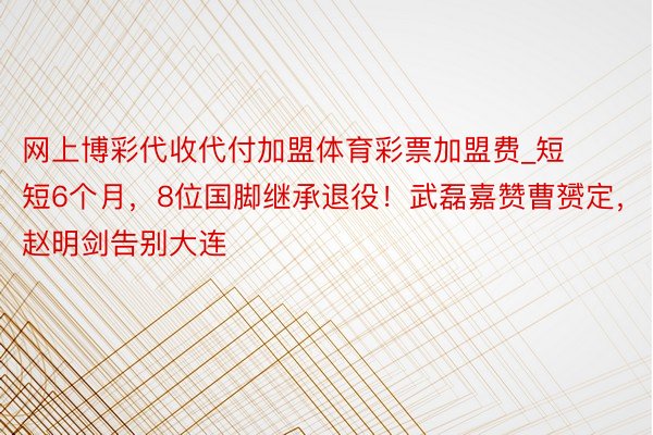 网上博彩代收代付加盟体育彩票加盟费_短短6个月，8位国脚继承退役！武磊嘉赞曹赟定，赵明剑告别大连